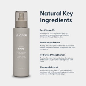 Backbar BORATO BOOST Total Volume Prep Spray